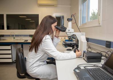 Imagen secundaria 1 - Granada cría sementales caprinos de élite y vende su genética a diez países