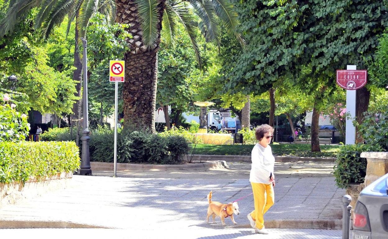 Una vecina pasea con su mascota por la céntrica plaza Colón. 