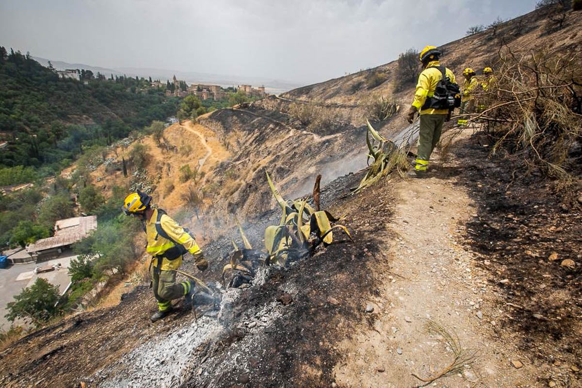 Bomberos del Infoca han trabajado para controlarlo