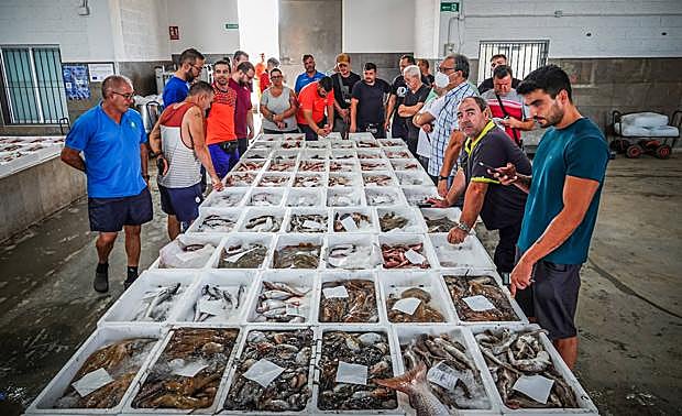 Lonja de Adra, donde parte de las capturas del día se preparan para la subasta. 