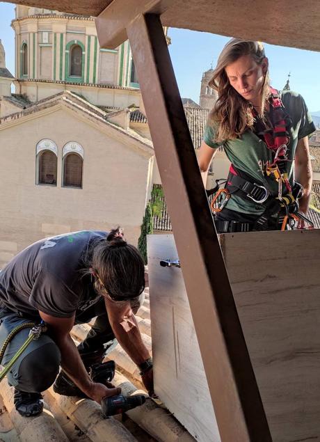 Imagen - Construyendo el nido.