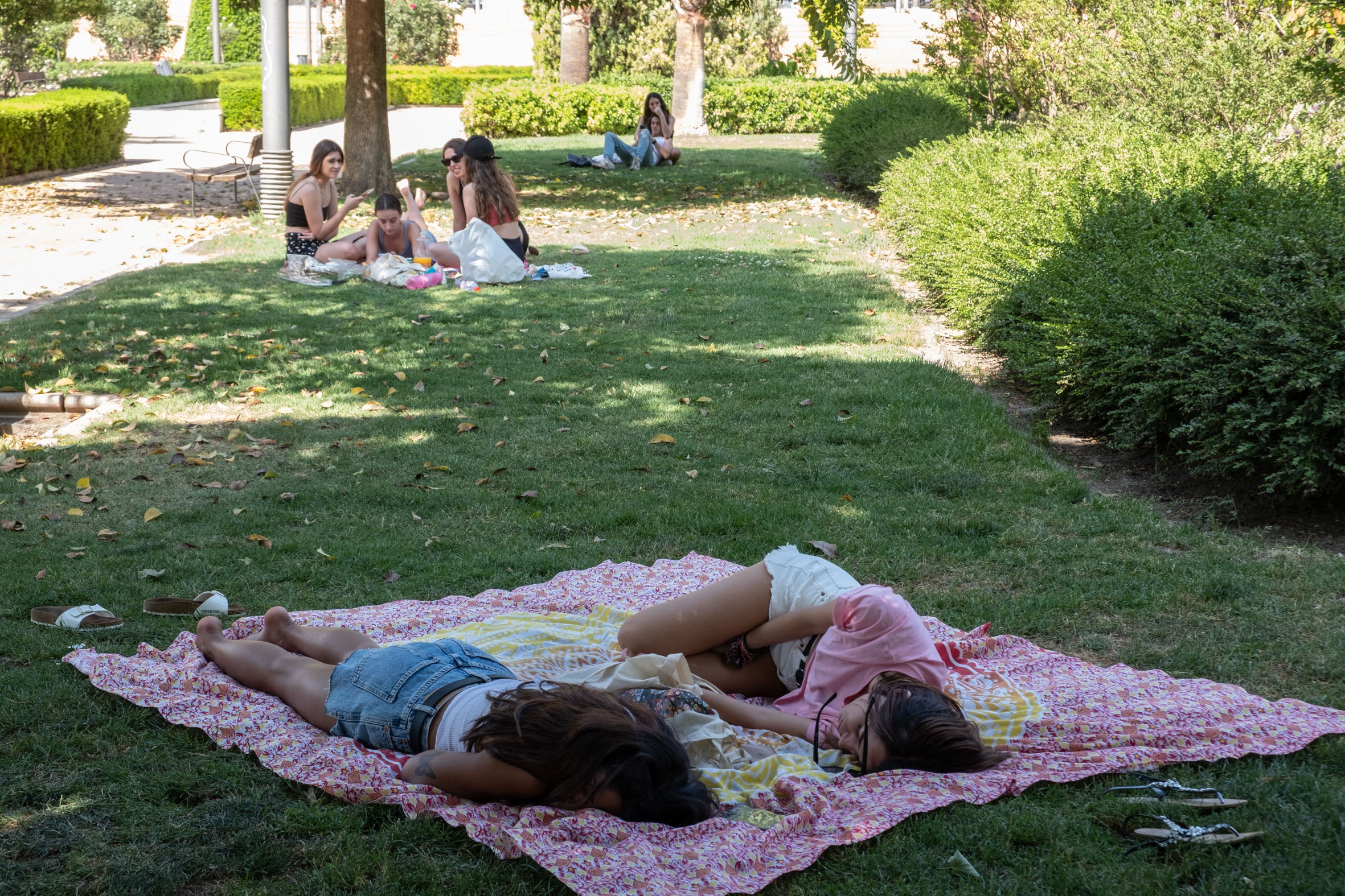Jóvenes se refugian del calor a la sombra.