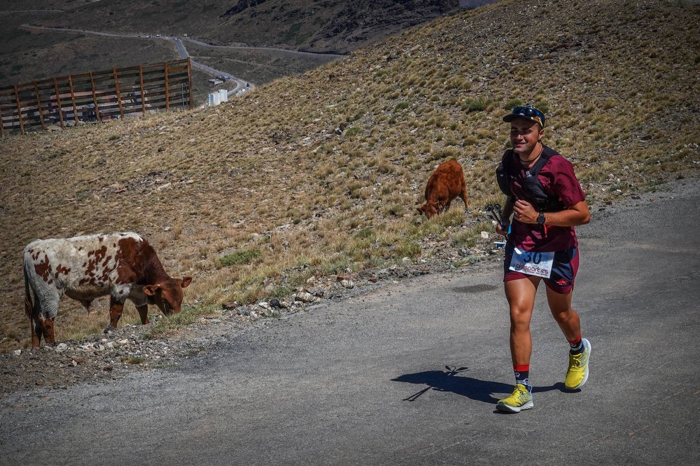 La 38 edición de la Subida Internacional Pico Veleta se ha celebrado este domingo.