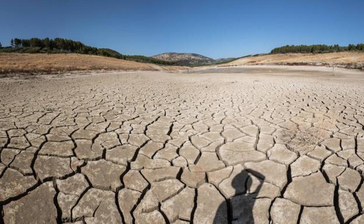 Últimas noticias de Granada este viernes