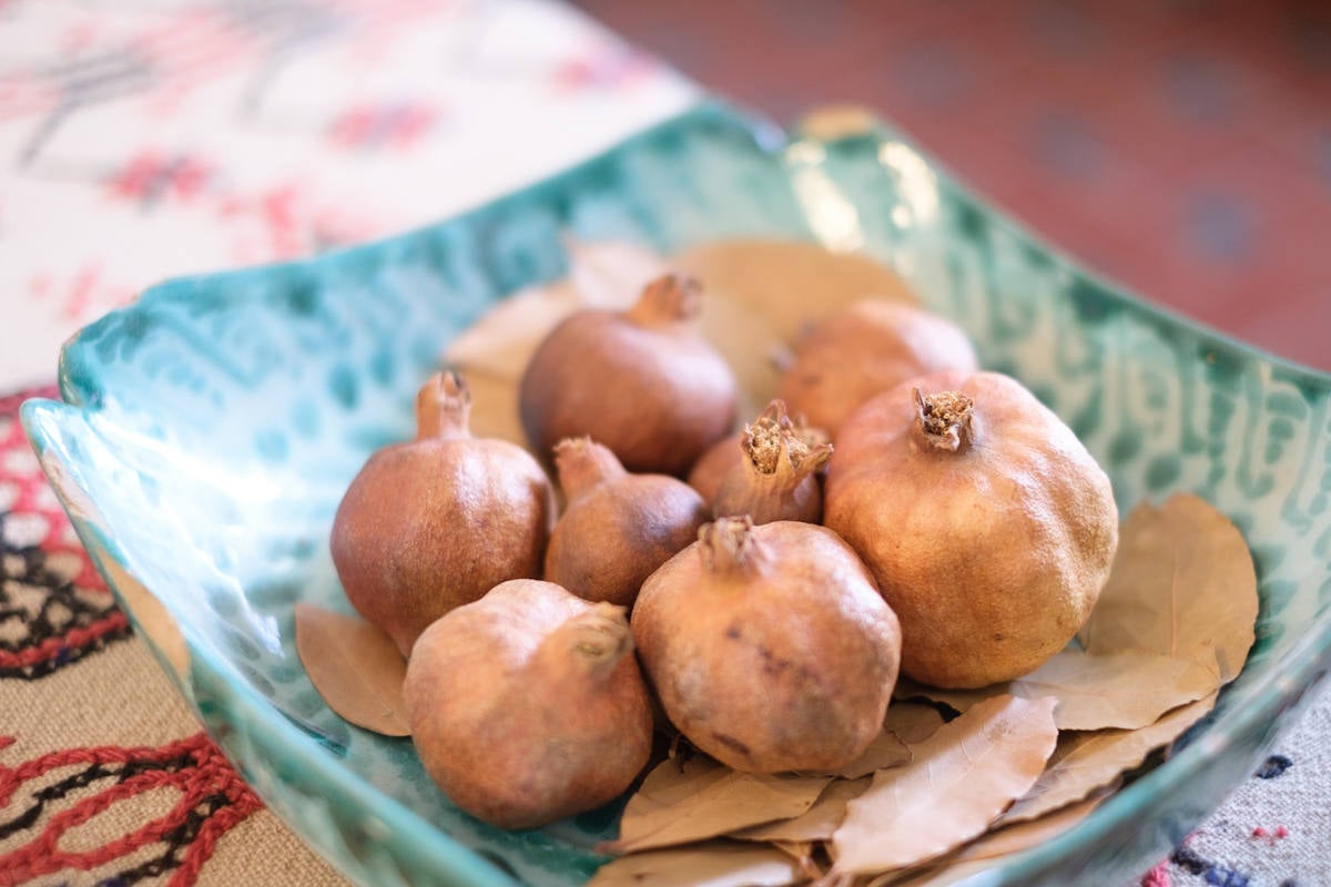 La casa de verano de Federico García Lorca vuelve a recibir visitas tras las reformas.
