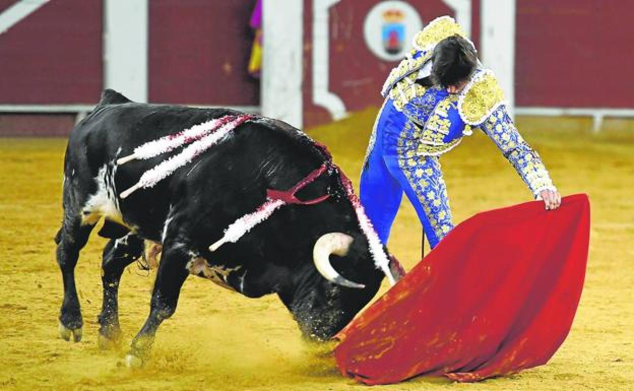 Entregado, el toro embiste a la muleta de Andrés Roca Rey, arrastrando la muleta en una imagen de total dominio del diestro limeño, la estrella de la Feria de Almería y de cualquier feria taurina. 