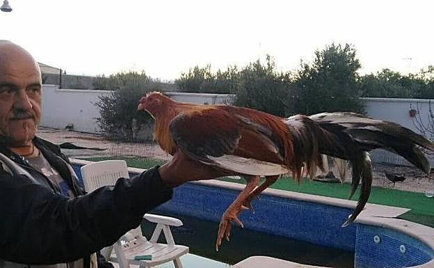 Imagen principal - En la primera y tercera imagen, junto a los animales, su gran pasión. En la segunda, junto a sus primos, disfrazado de Bob Marley (a la izquierda).