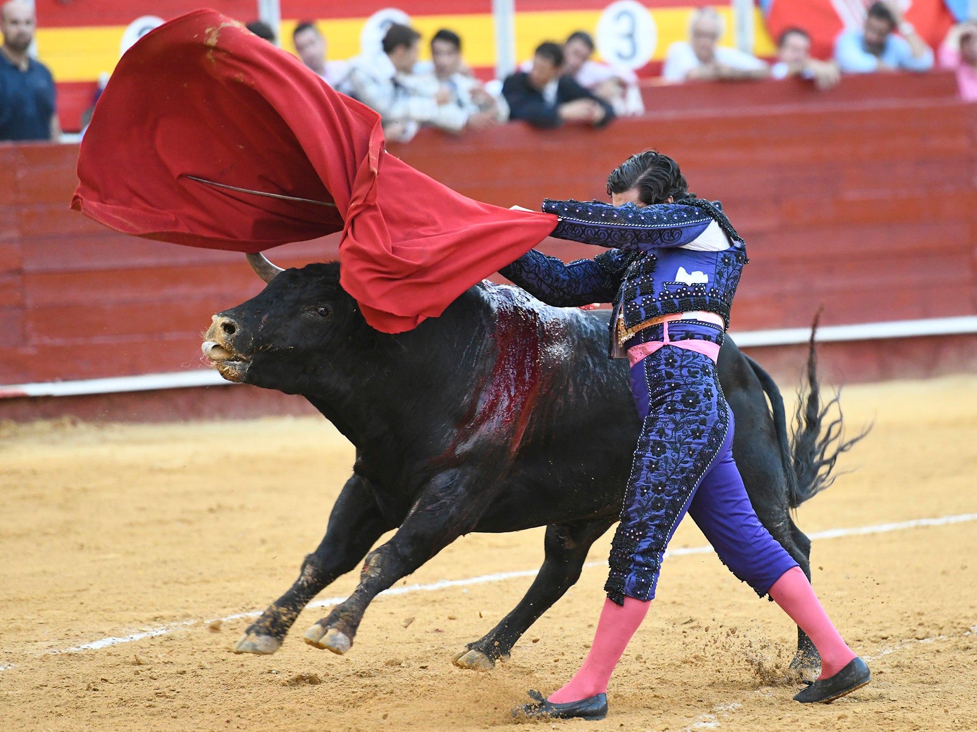 Momento del festejo celebrado este sábado en la plaza almeriense.