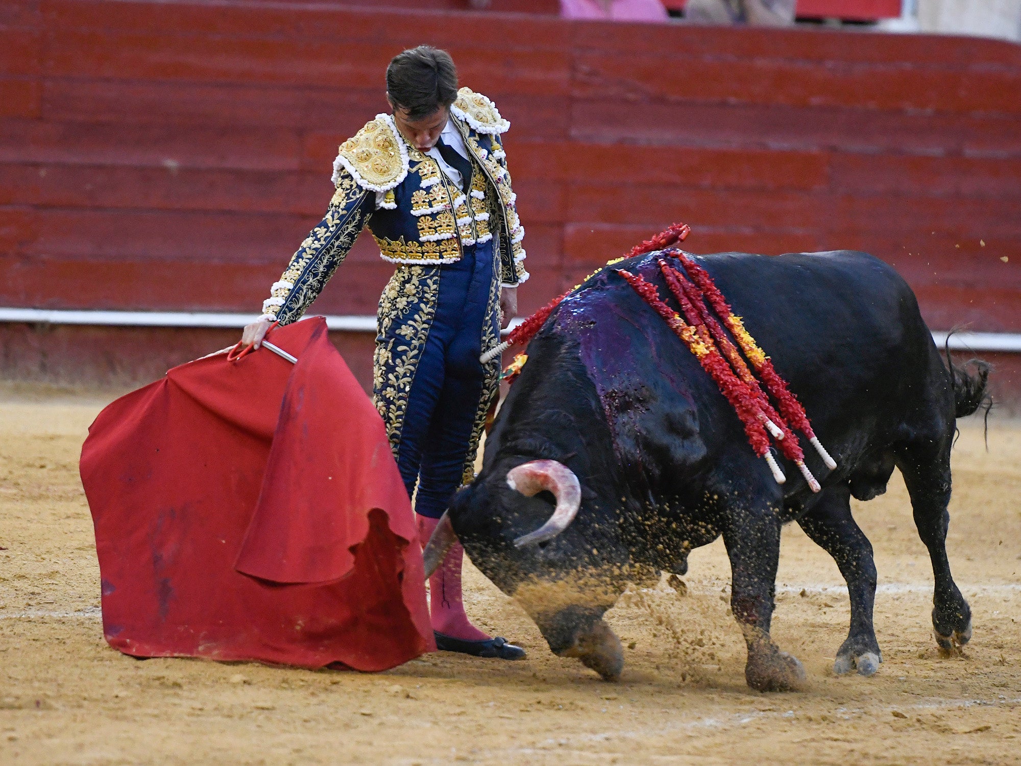Momento del festejo celebrado este sábado en la plaza almeriense.