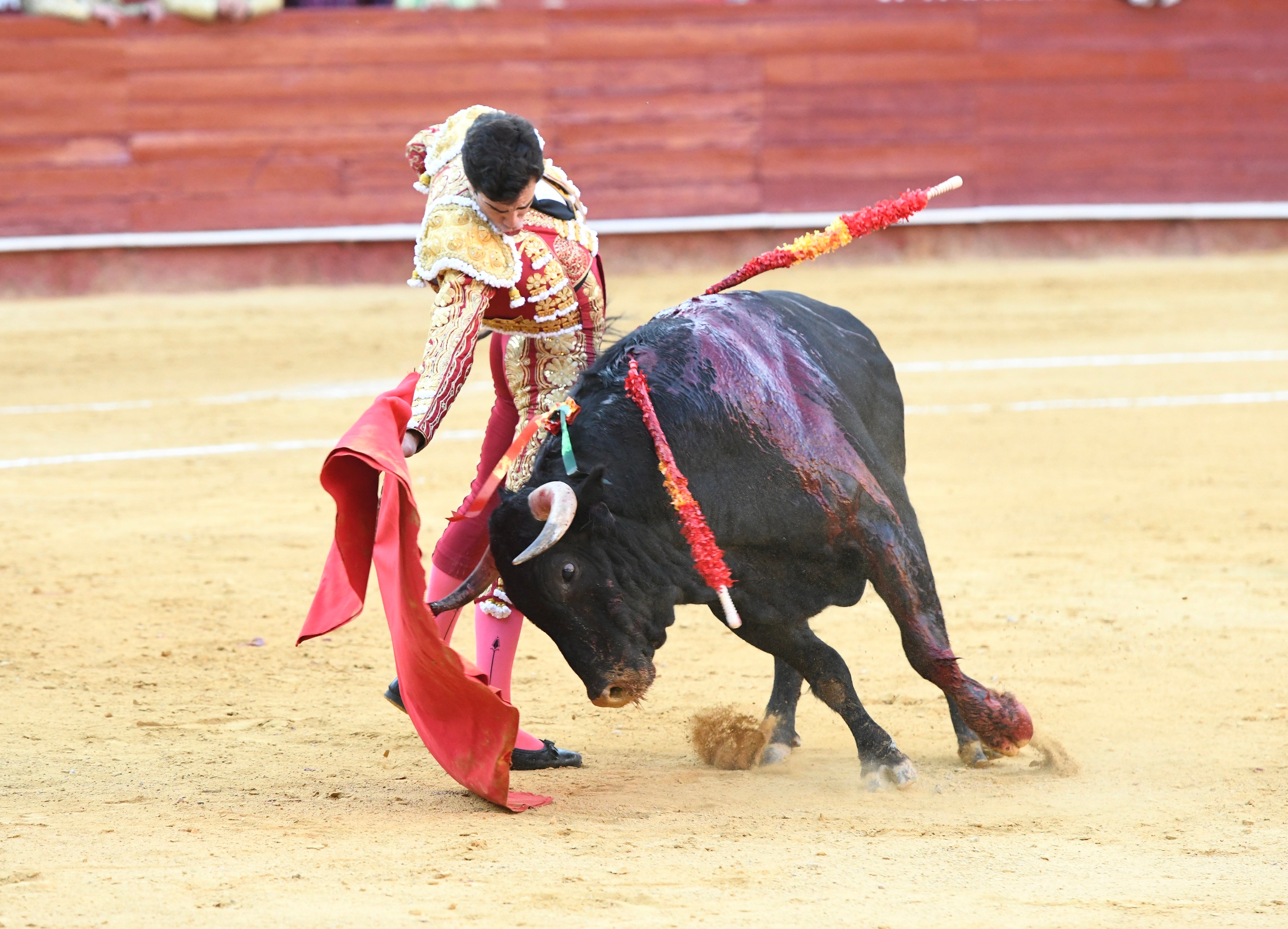 Momento del festejo celebrado este sábado en la plaza almeriense.