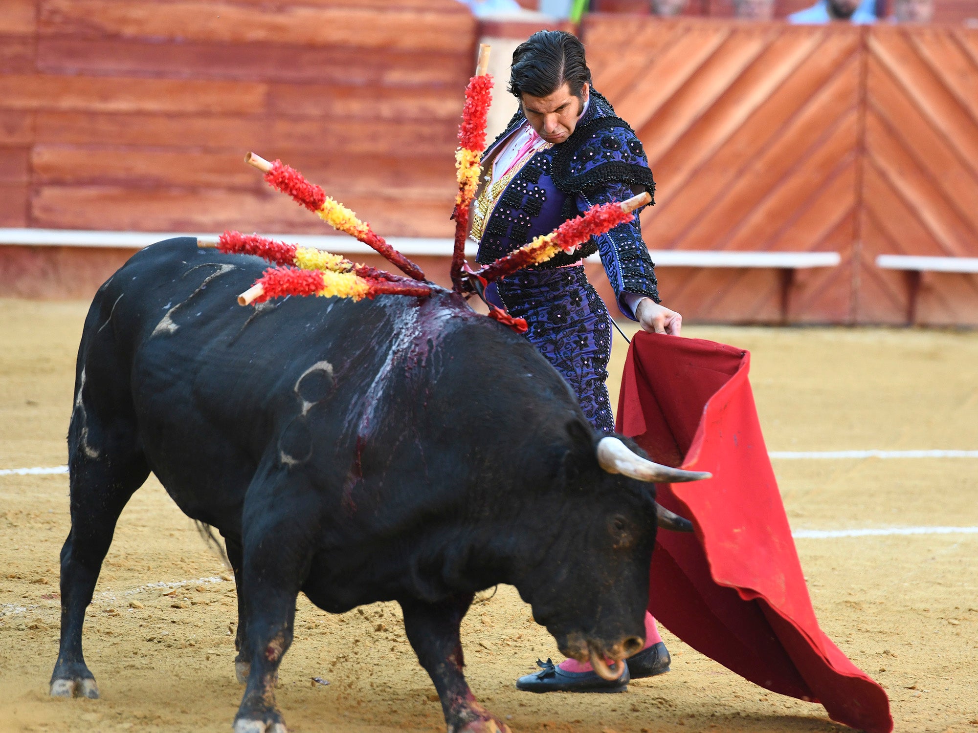 Momento del festejo celebrado este sábado en la plaza almeriense.