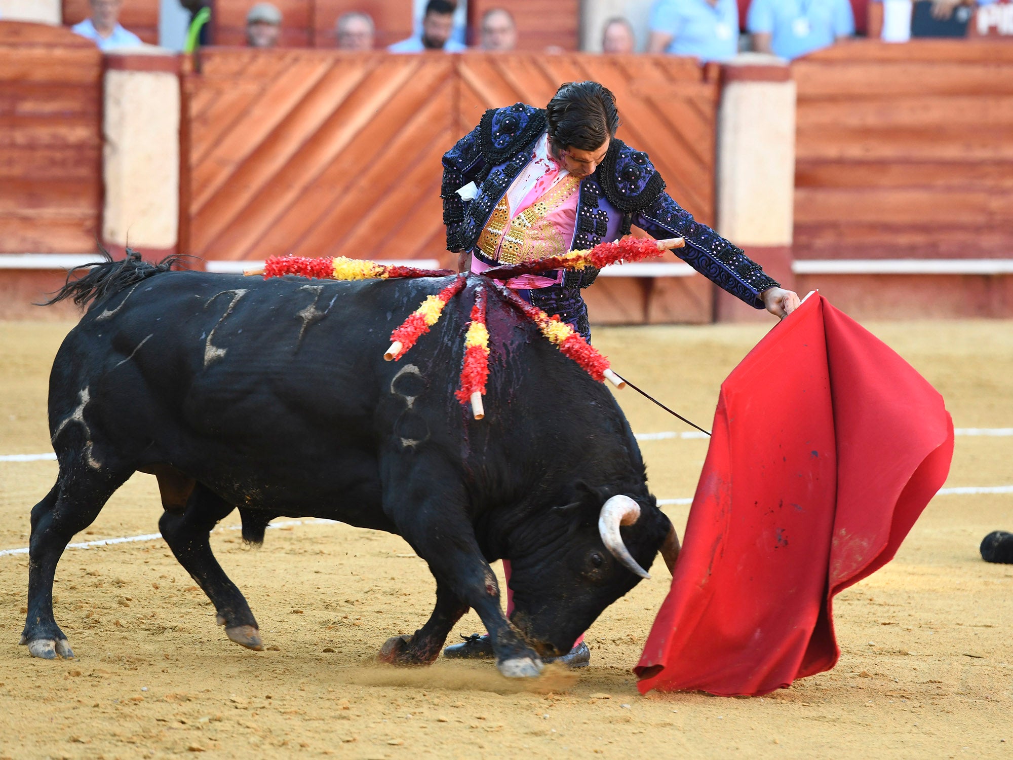 Momento del festejo celebrado este sábado en la plaza almeriense.