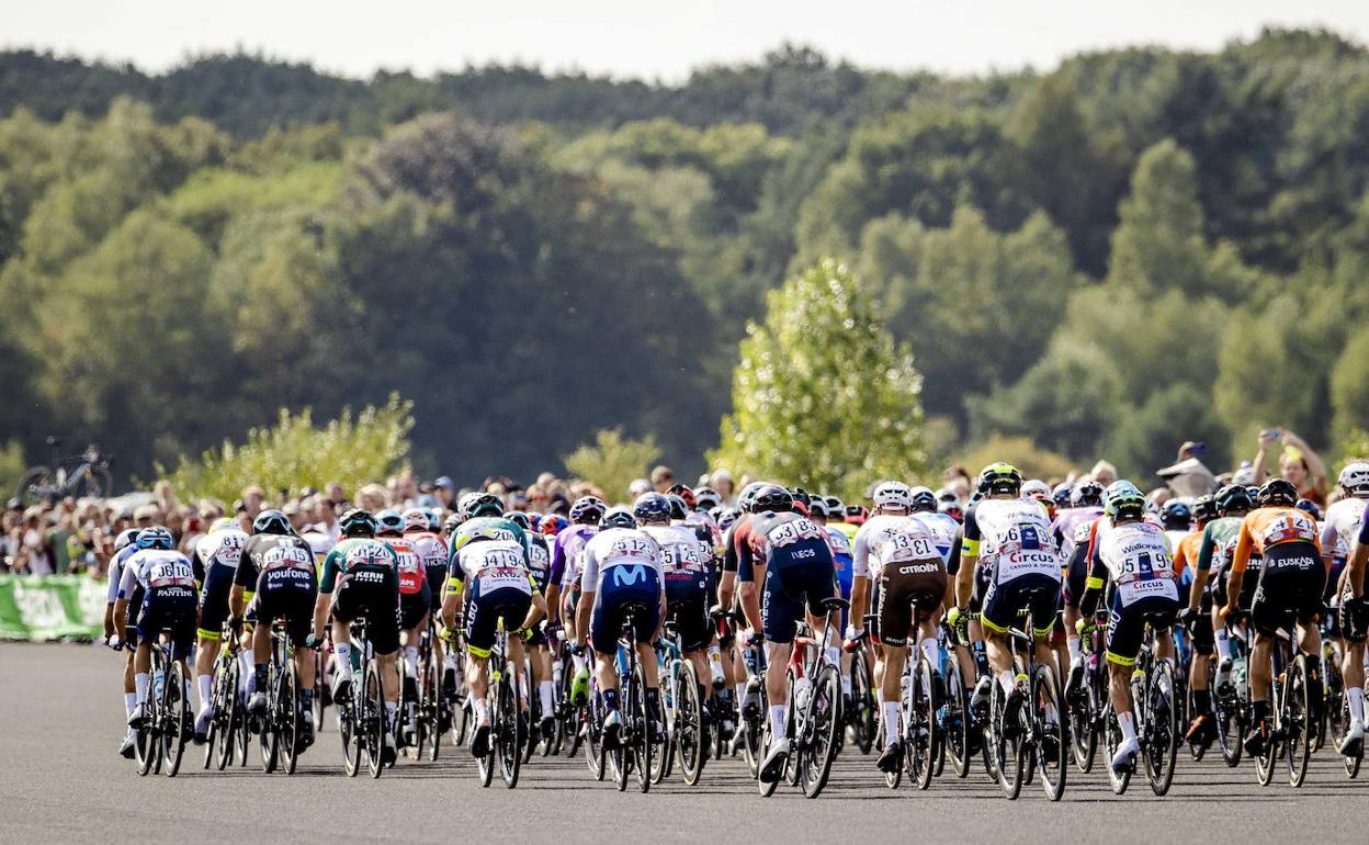 El pelotón transita con tranquilidad durante la jornada de ayer en suelo holandés.