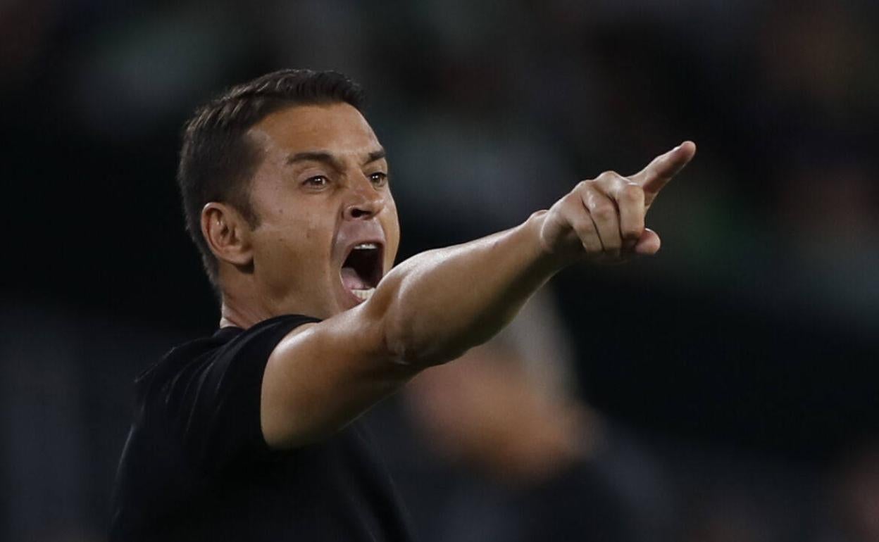 Francisco grita en la banda en el partido disputado en el Benito Villamarín. 