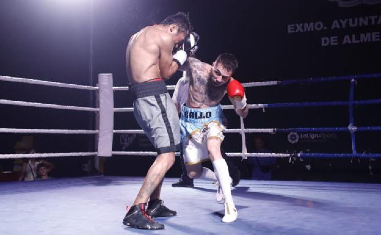 'El Gallo' cuajó una gran actuación con rápidas combinaciones de golpes y mucho dinamismo. 