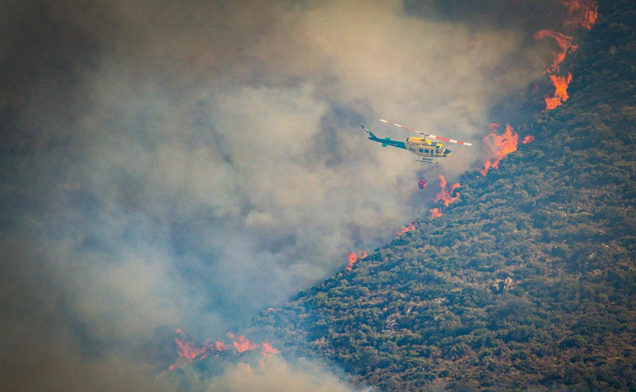 Imagen del incendio. 