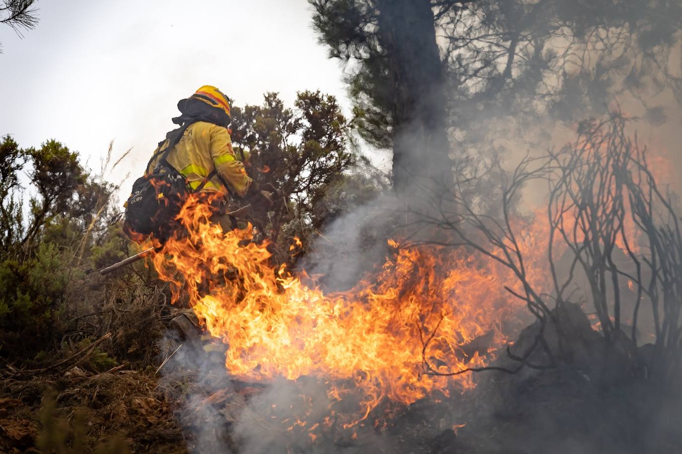 Operarios del Infoca trabajando contra el incendio.