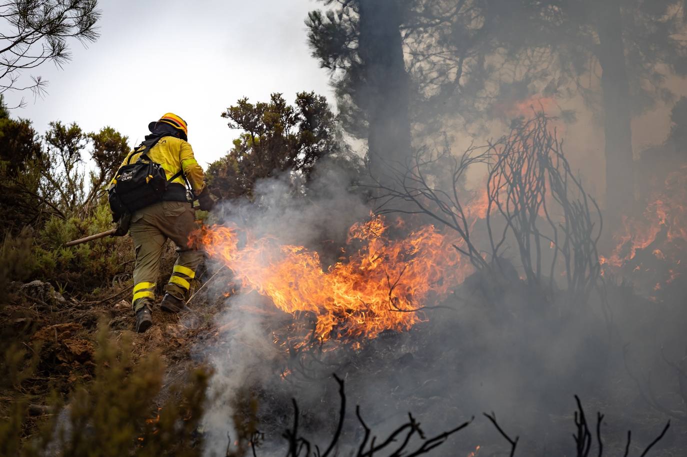 Operarios del Infoca trabajando contra el incendio.