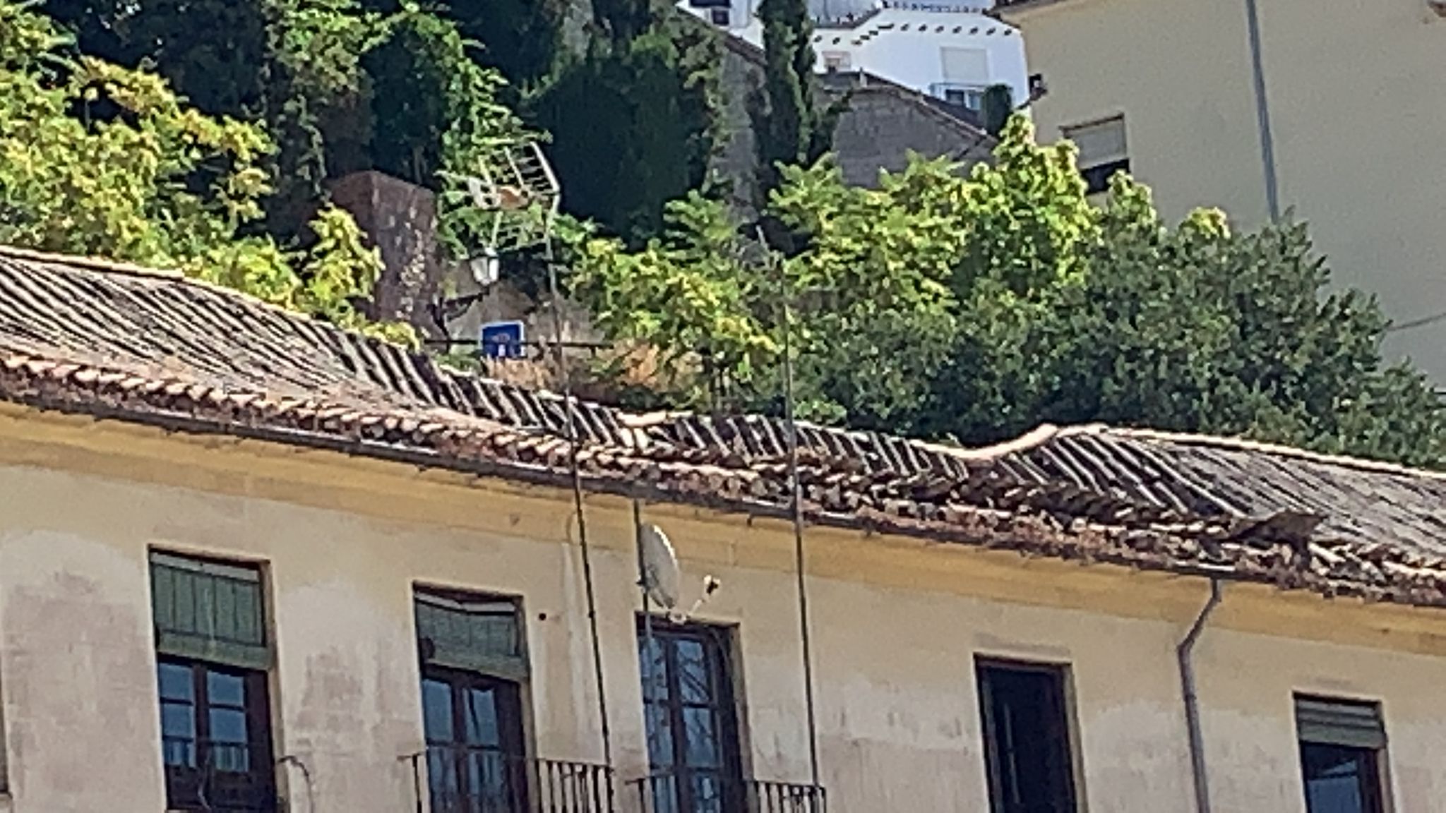 La finca, declarada en 'ruina inminente', ha dejado sin techo y sin pertenencias a dos familias