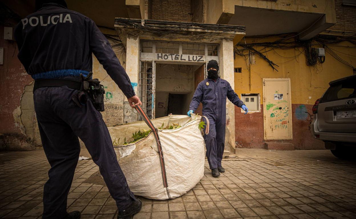 Una de las operaciones contra la marihuana en el distrito norte de la capital granadina. 