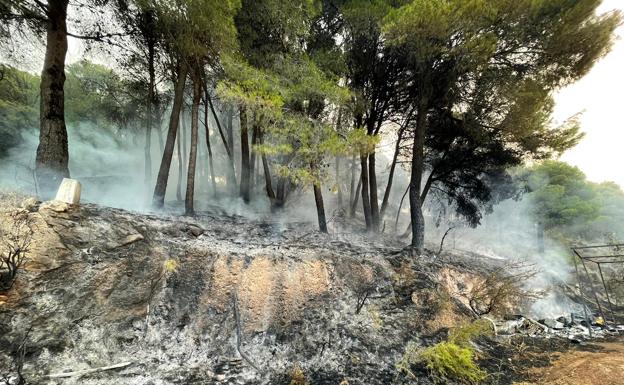 Vídeo | El incendio forestal más importante de la provincia en lo que va de año, desde dentro