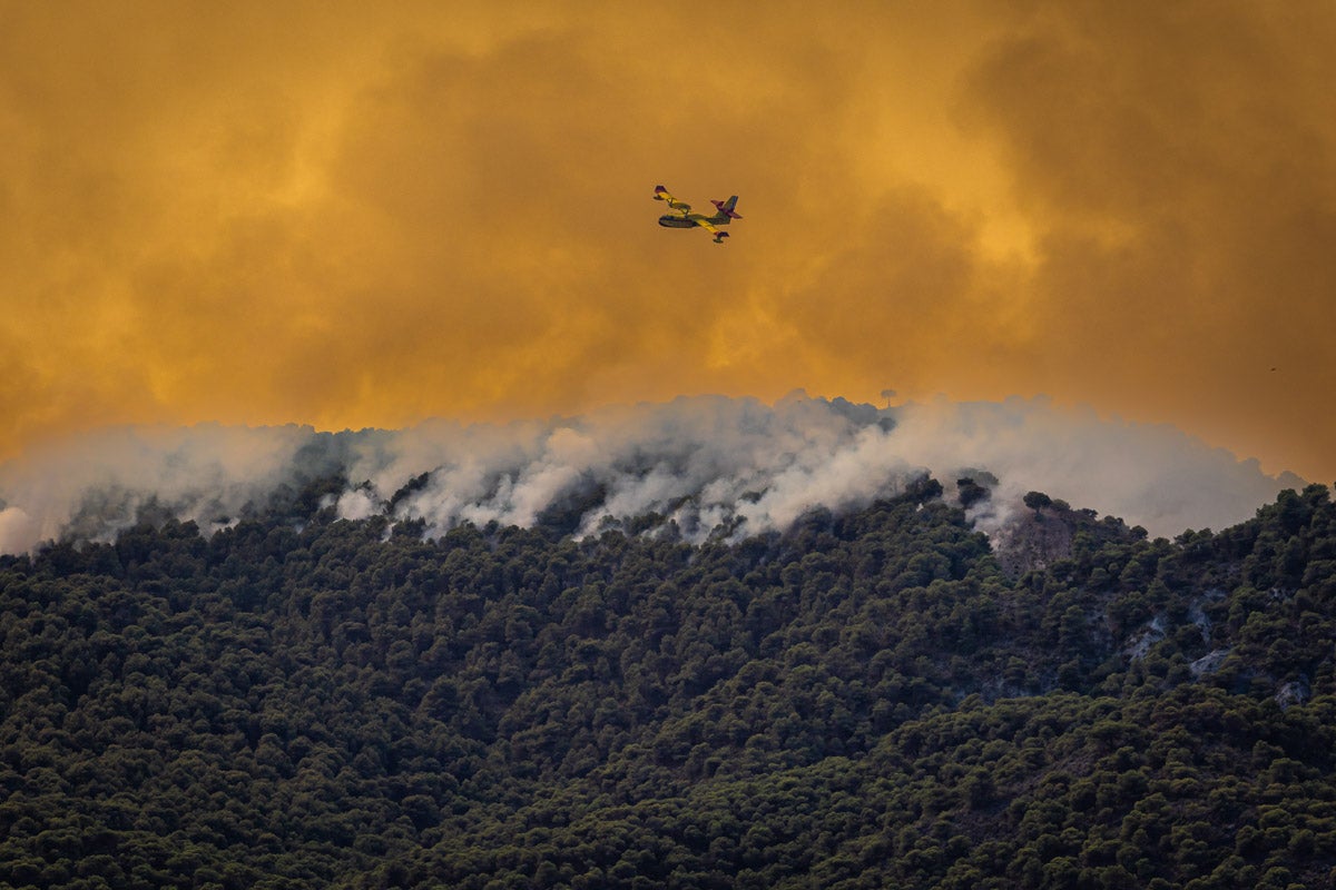 Las imágenes del mayor incendio de la provincia en lo que va de año