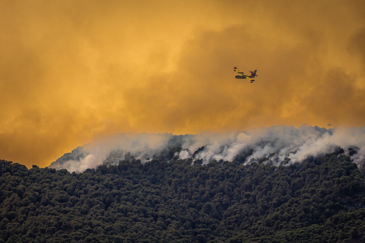 Las imágenes del mayor incendio de la provincia en lo que va de año