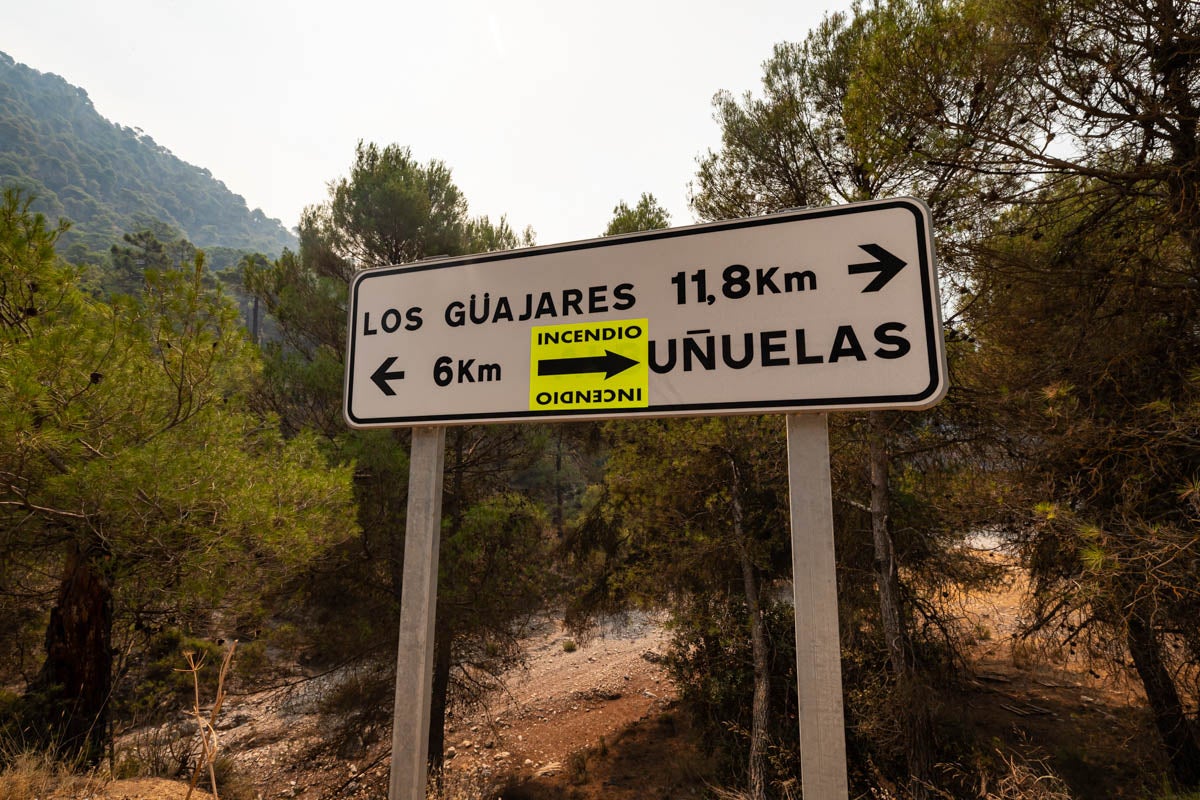 Las imágenes del mayor incendio de la provincia en lo que va de año