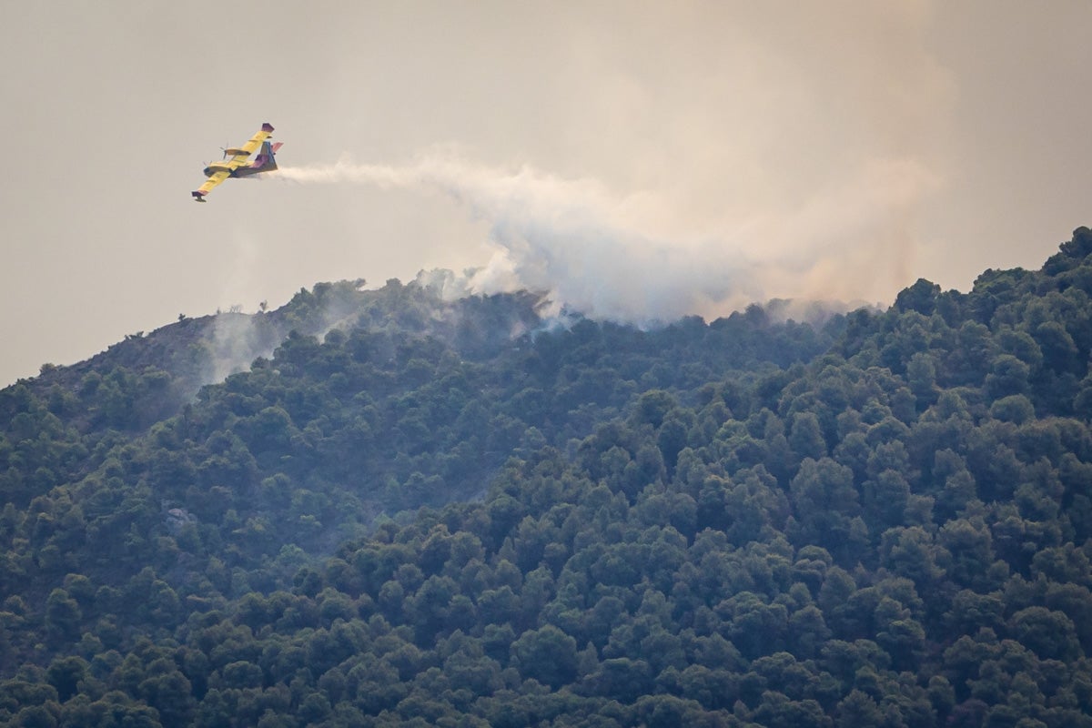 Las imágenes del mayor incendio de la provincia en lo que va de año