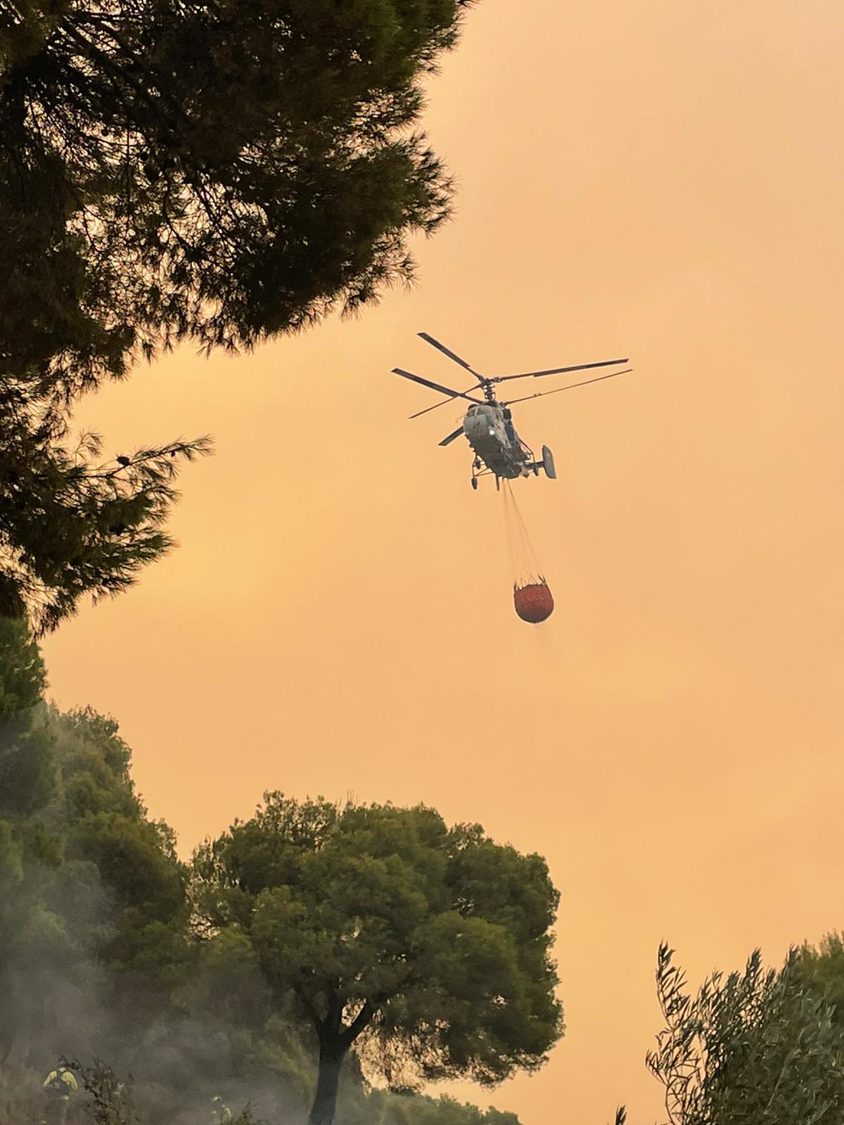 Las imágenes del mayor incendio de la provincia en lo que va de año