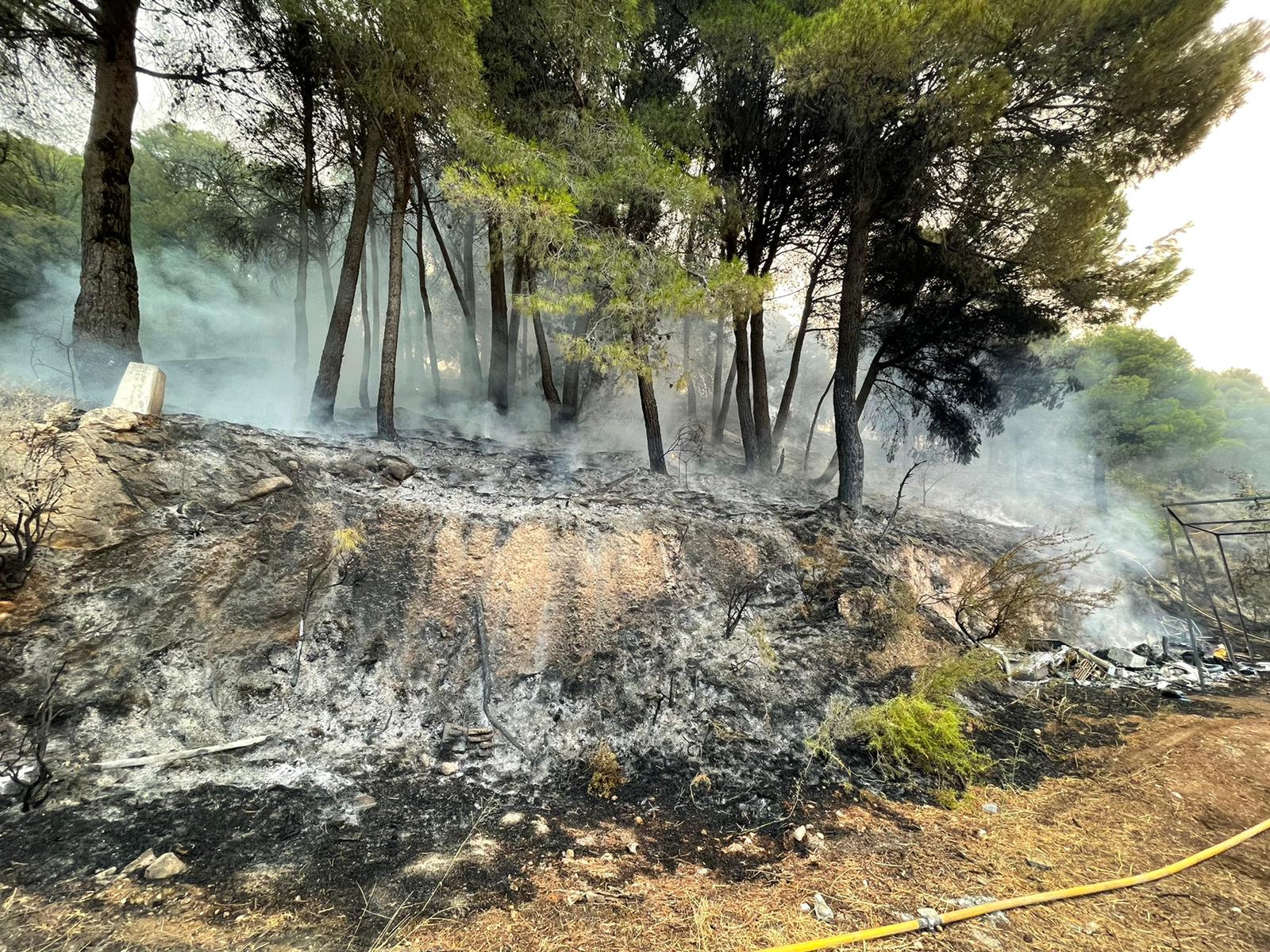 Las imágenes del mayor incendio de la provincia en lo que va de año