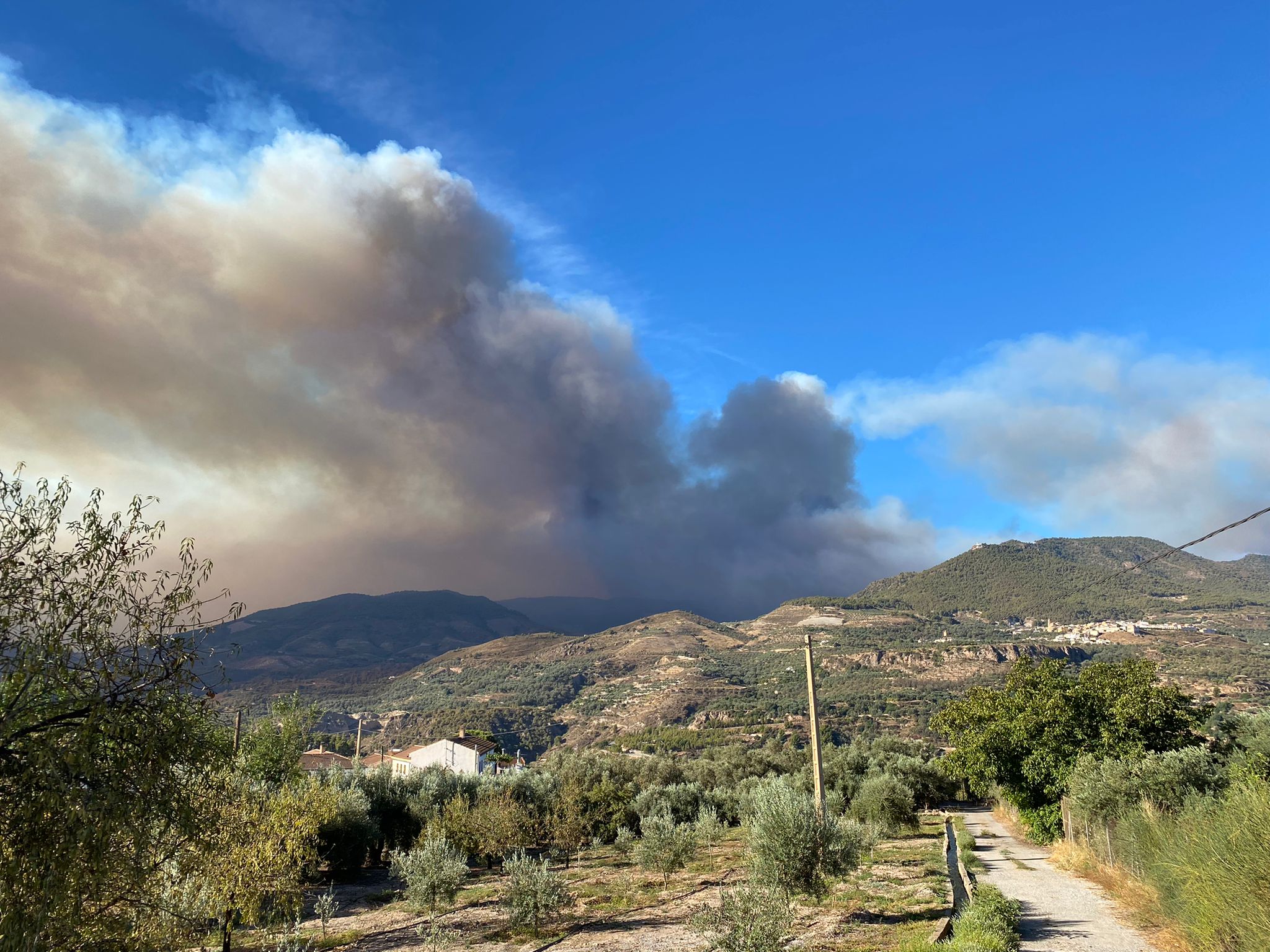 Las imágenes del mayor incendio de la provincia en lo que va de año