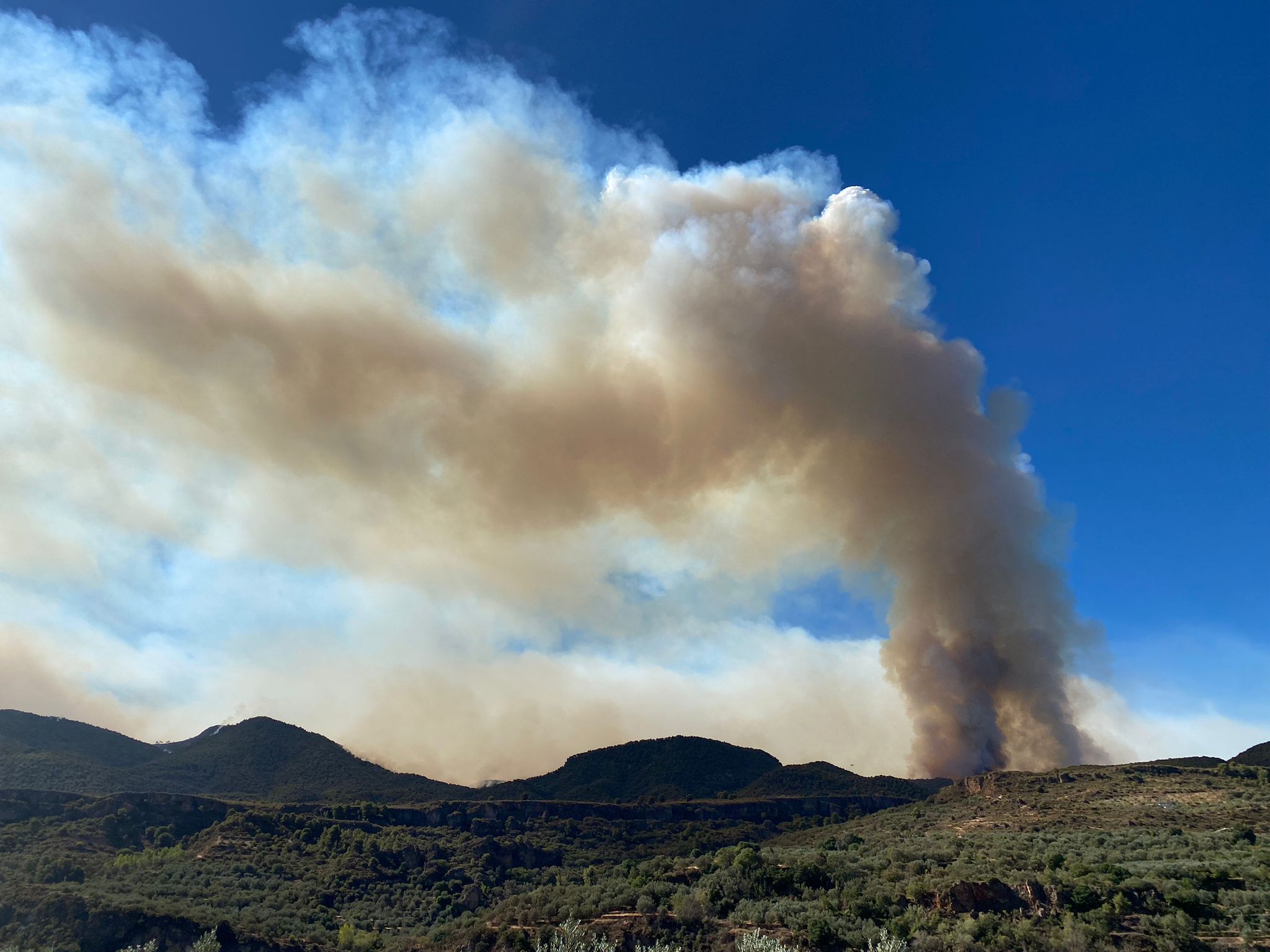 Las imágenes del mayor incendio de la provincia en lo que va de año