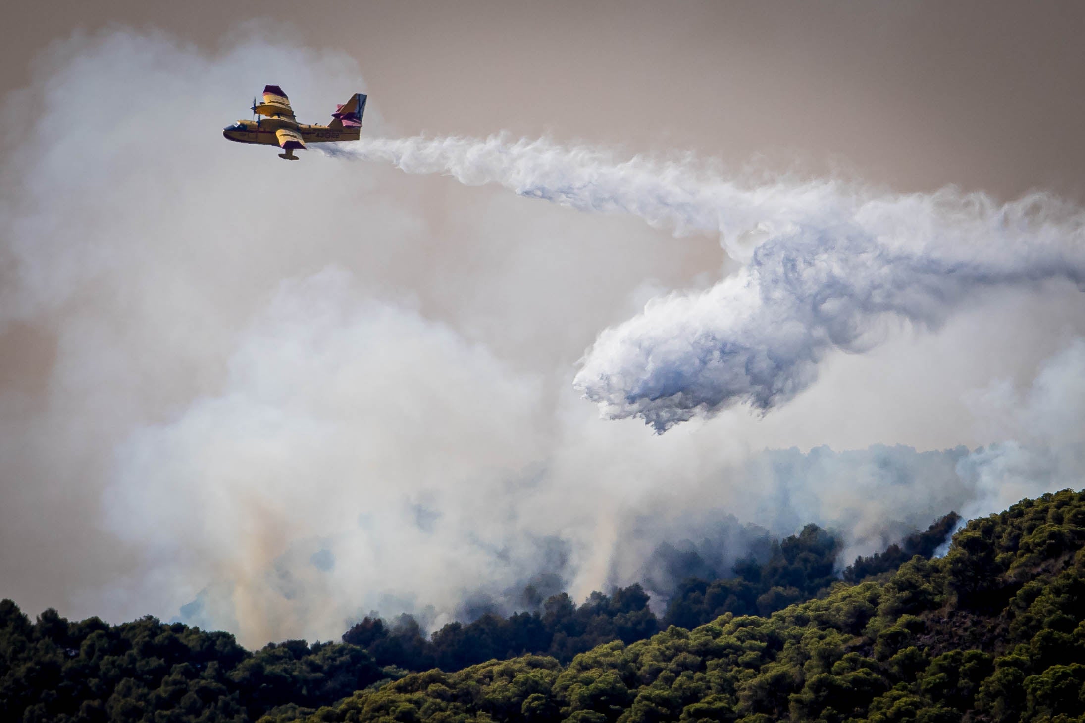 Las imágenes del mayor incendio de la provincia en lo que va de año