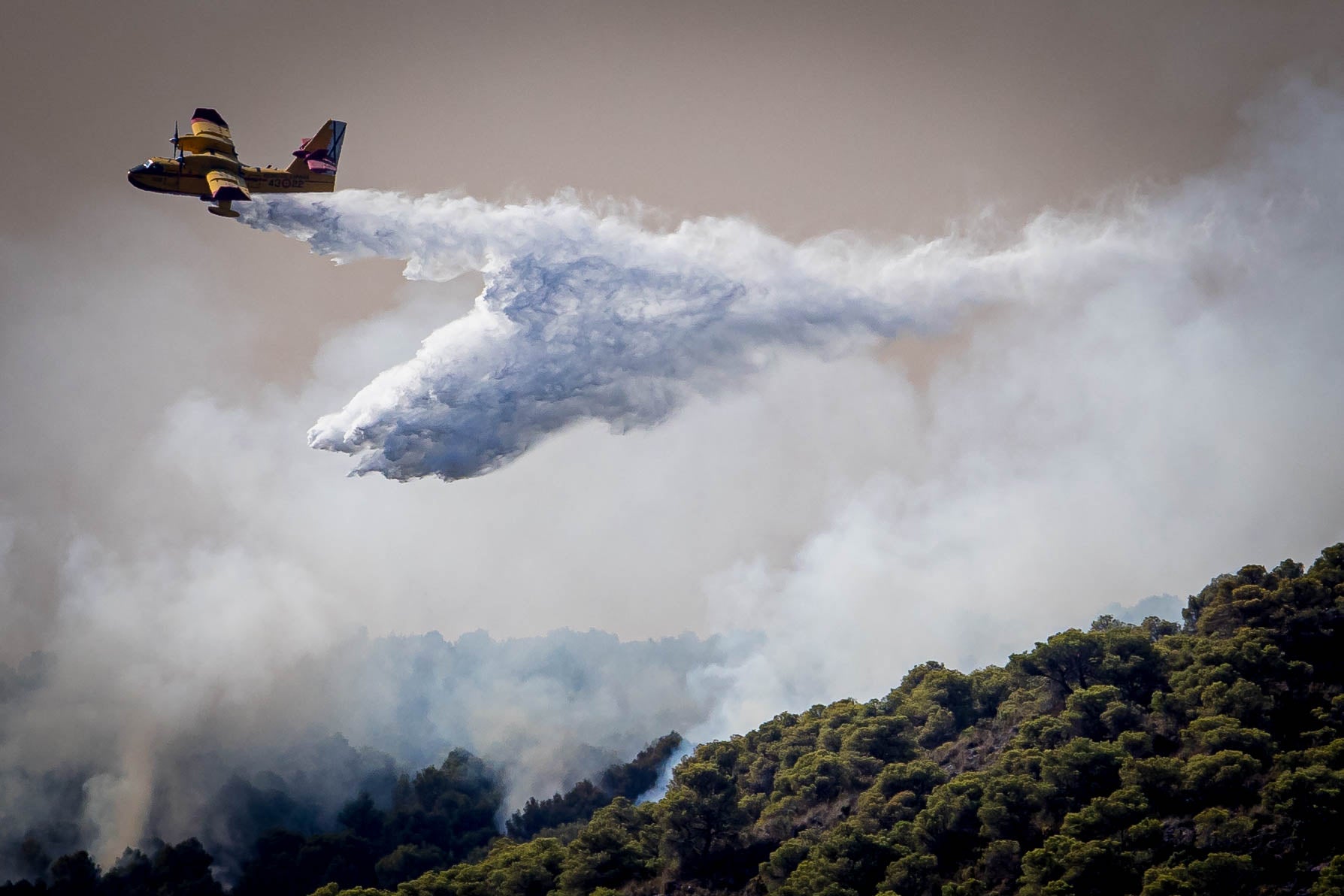 Las imágenes del mayor incendio de la provincia en lo que va de año