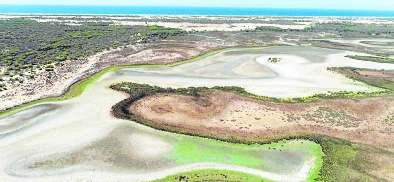 La laguna de Santa Olalla, el humedal más grande y permanente del Parque Nacional de Doñana, ofrece una imagen dramática al quedarse sin agua este verano a causa de la sequía. 