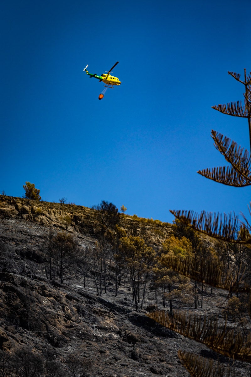 Así se encuentra la zona afectada por las llamas entre Los Guájares y Albuñuelas.