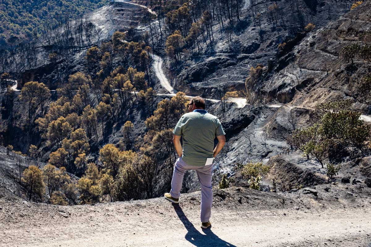 Así se encuentra la zona afectada por las llamas entre Los Guájares y Albuñuelas.