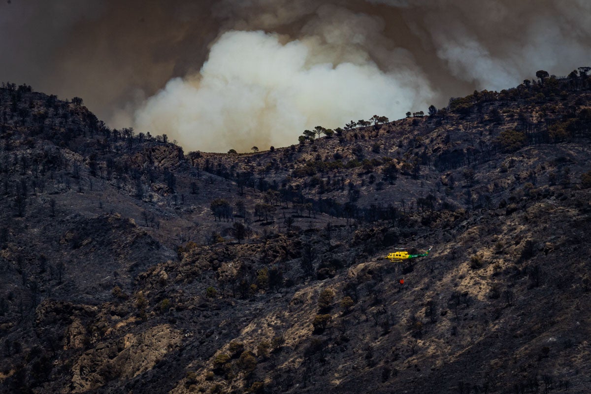 Los daños del incendio de Los Guájares, sobre el terreno