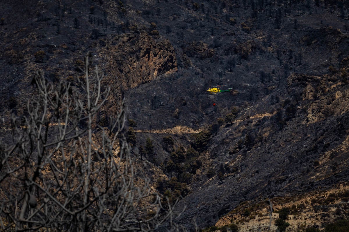 Así se encuentra la zona afectada por las llamas entre Los Guájares y Albuñuelas.