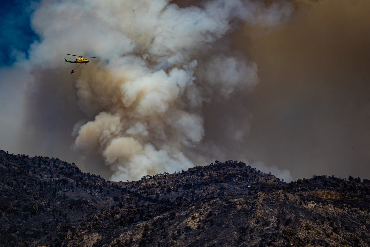 Así se encuentra la zona afectada por las llamas entre Los Guájares y Albuñuelas.