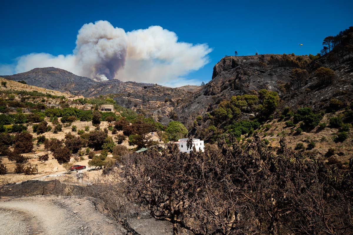 Así se encuentra la zona afectada por las llamas entre Los Guájares y Albuñuelas.