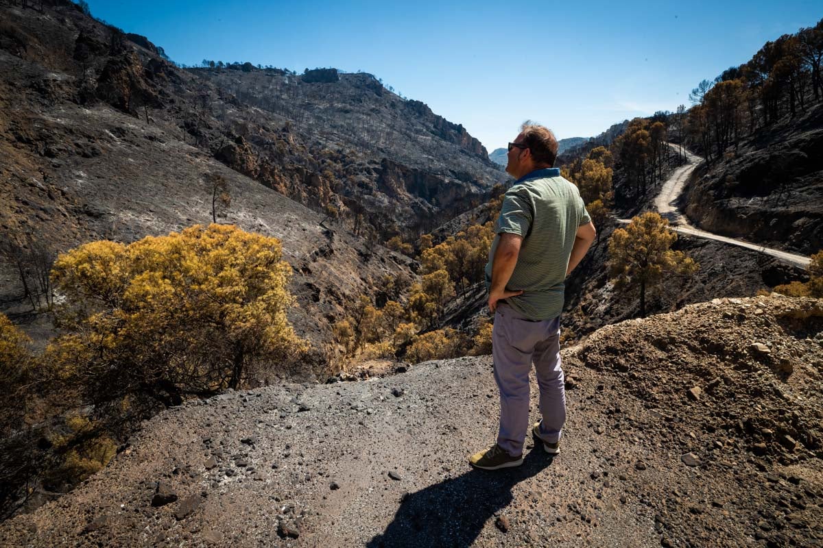 Así se encuentra la zona afectada por las llamas entre Los Guájares y Albuñuelas.