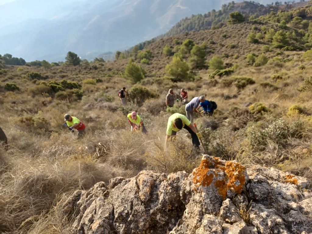 Vecinos de El Pinar construyen un cortafuegos para evitar el avance de las llamas.