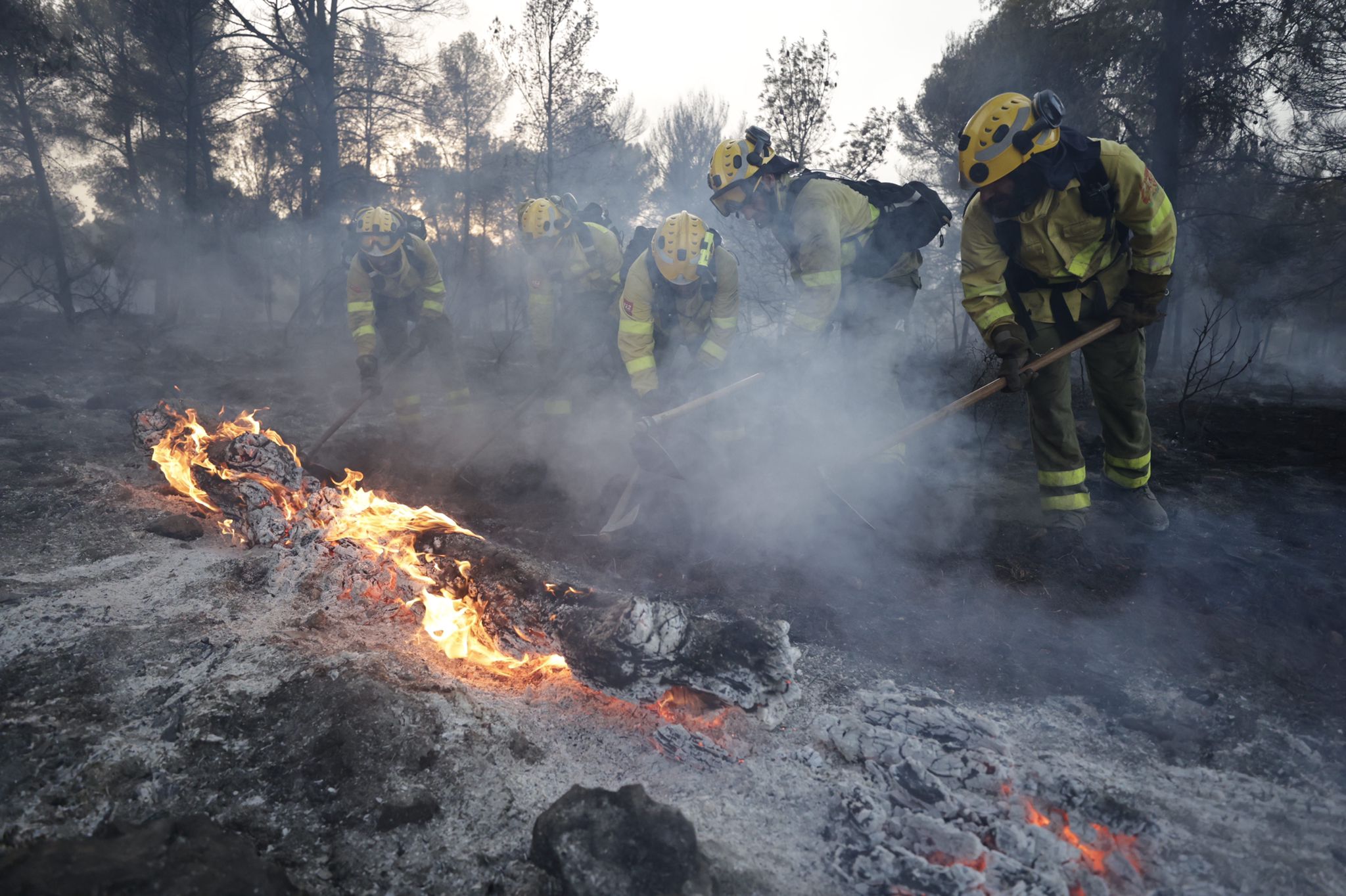 Bomberos terrestres y medios aéreos luchan contra el fuego.