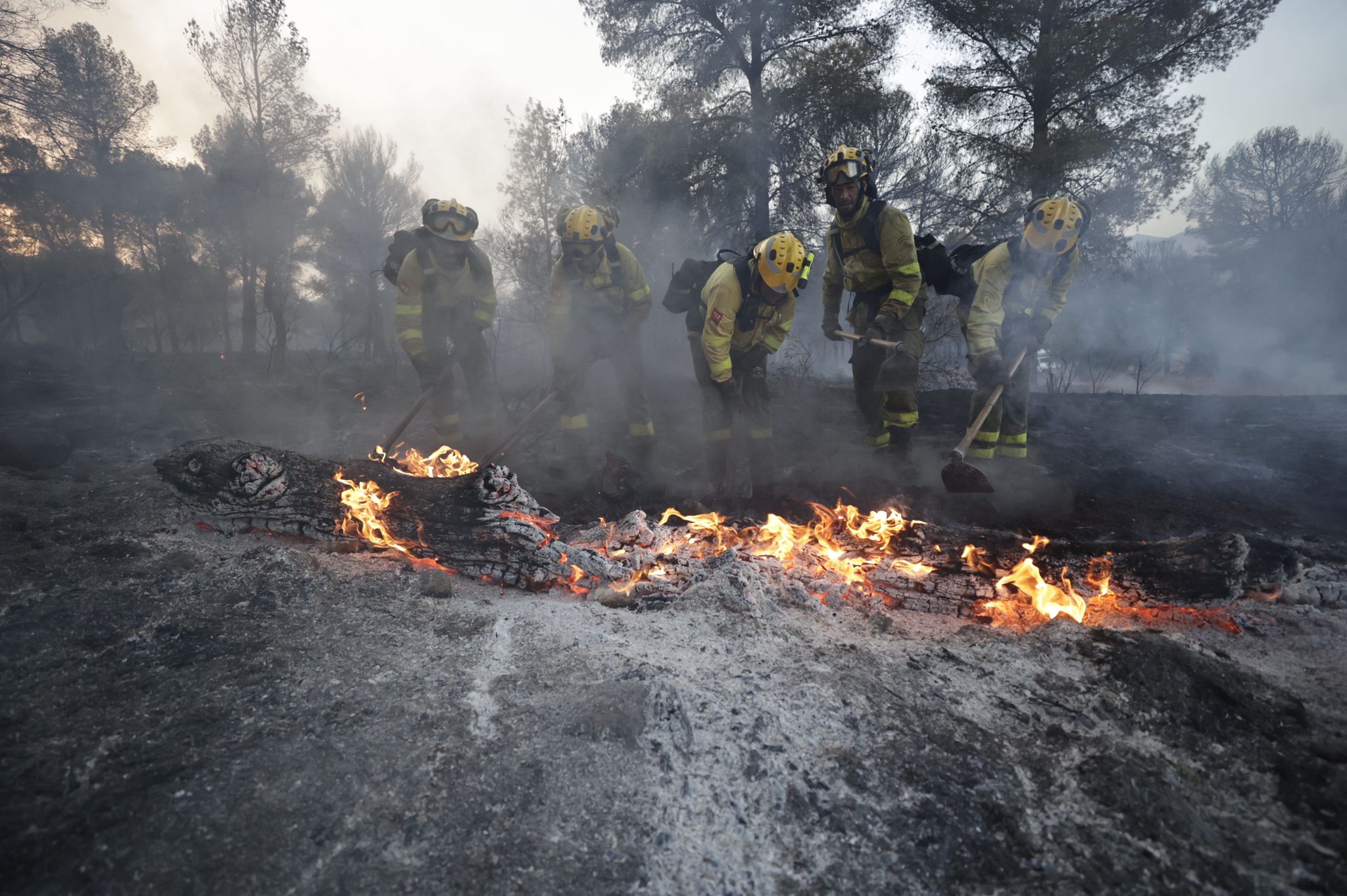 Bomberos terrestres y medios aéreos luchan contra el fuego.