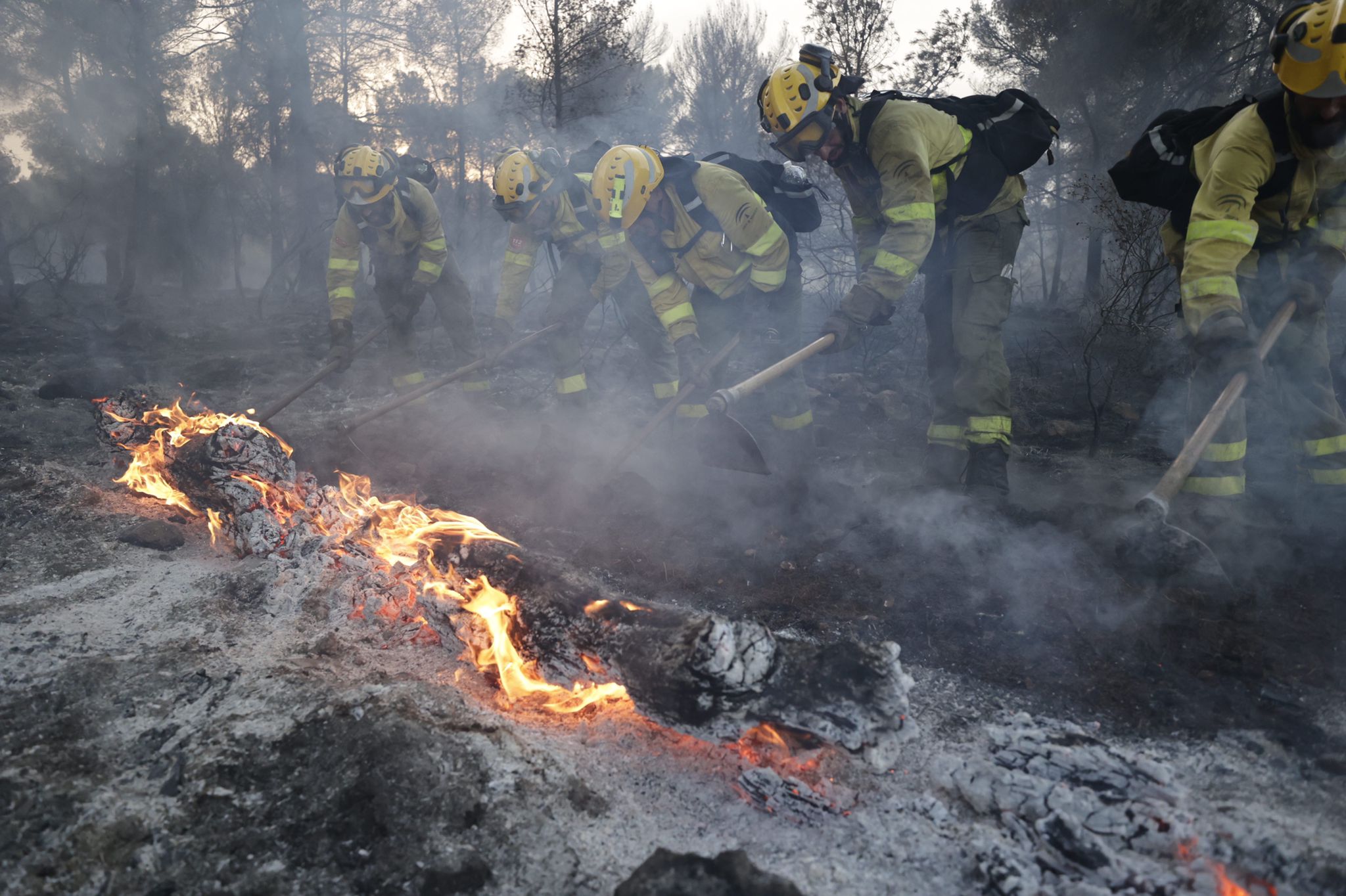 Bomberos terrestres y medios aéreos luchan contra el fuego.