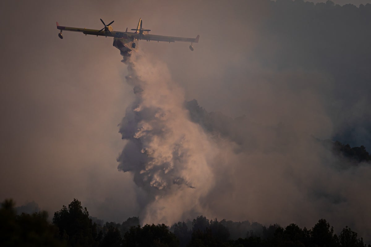 Bomberos terrestres y medios aéreos luchan contra el fuego.