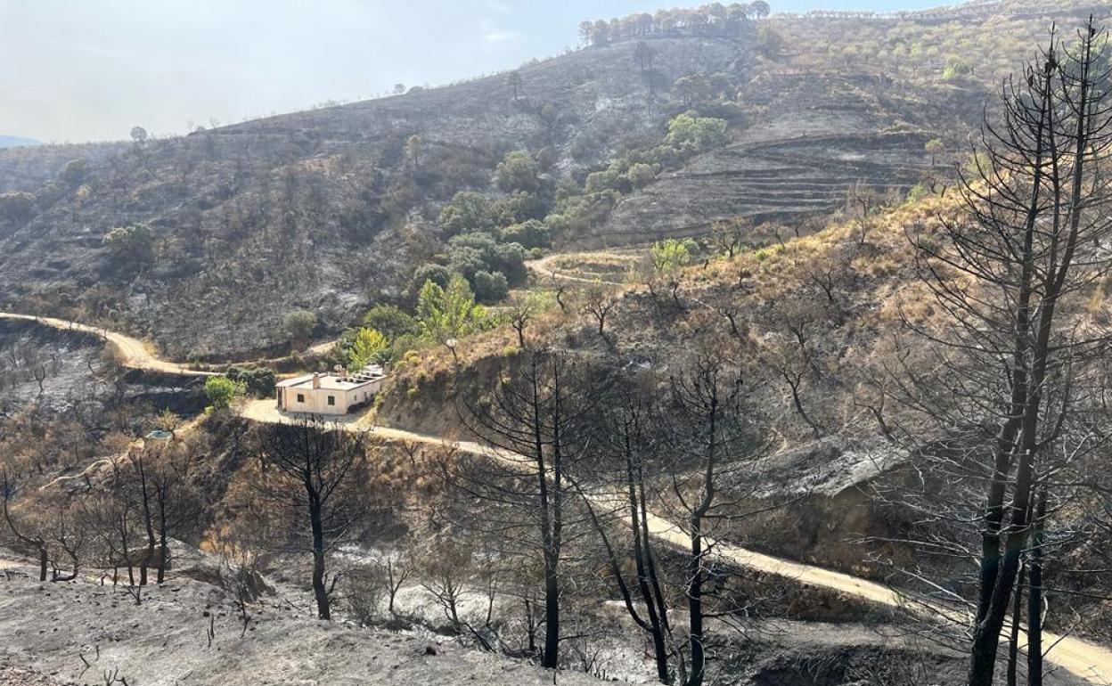 Cortijo rodeado por la zona quemada del incendio.