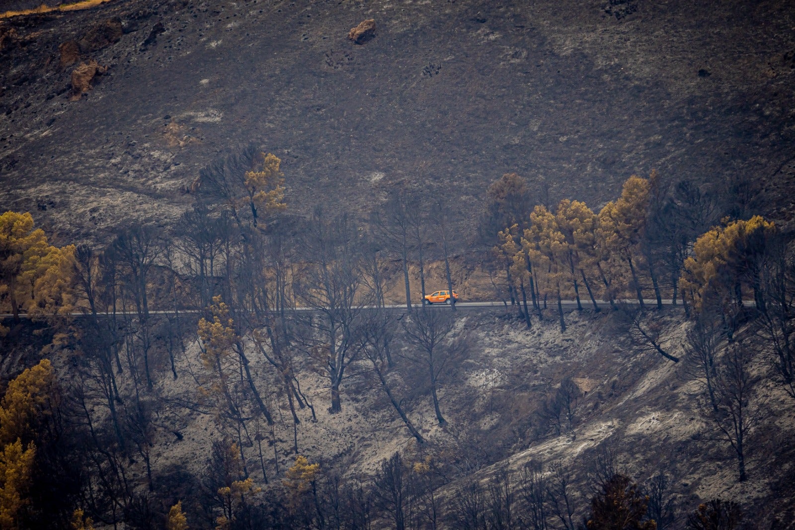 Las lluvias ayudarán para evitar que sigan avanzando las llamas